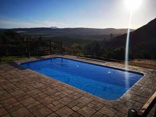 concrete fibreglass shell pools 009